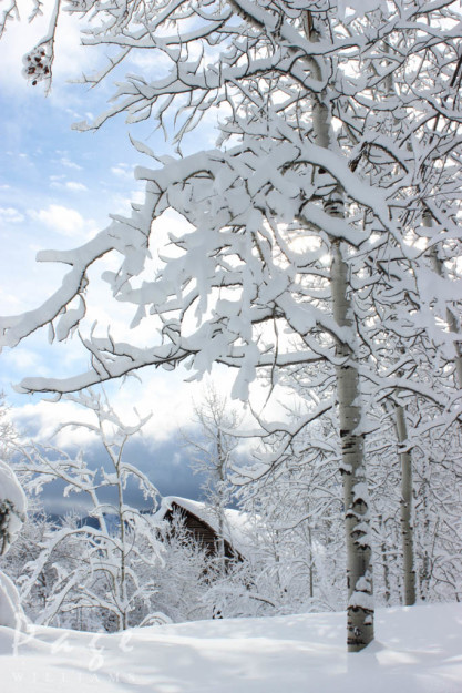 PageWilliams-winter-photography-hiddencabin